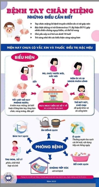 CẢNH BÁO PHÒNG, CHỐNG BỆNH TAY CHÂN MIỆNG