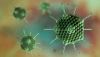 Việc cần làm ngay khi trẻ sốt, nôn, tiêu chảy nghi mắc Adenovirus