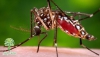 Trung tâm Y tế Huyện Hải Hà Triển khai dịch vụ phun hóa chất diệt côn trùng gây bệnh
