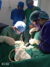 Trung tâm Y tế Huyện Hải Hà Triển khai thành công phẫu thuật Crossen - Cắt tử cung đường âm đạo cho người bệnh sa sinh dục