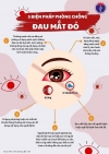 Bệnh đau mắt đỏ rất dễ mắc, dễ lây lan trong cộng đồng và gây thành dịch